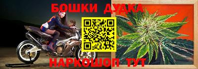 дурь Камышлов