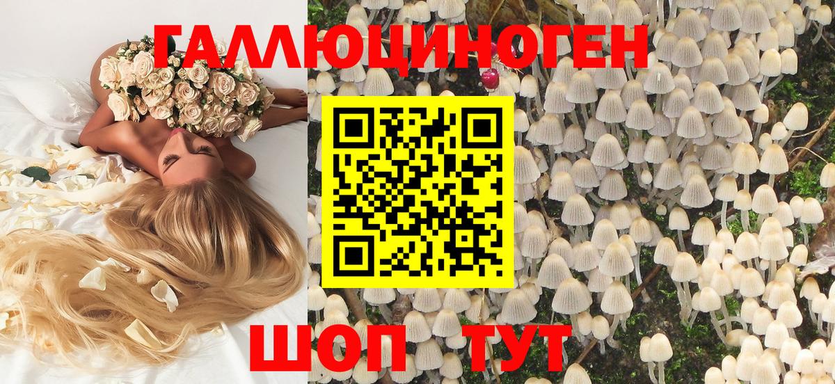Псилоцибиновые грибы GOLDEN TEACHER Краснокаменск