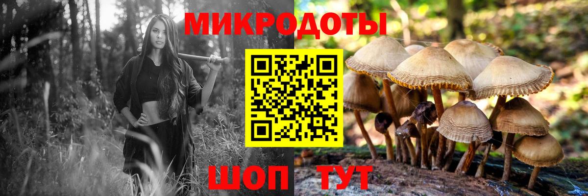 Краснокаменск  Галлюциногенные грибы прущие грибы  Вход с VPN  Галлюциногенные грибы Psilocybe 